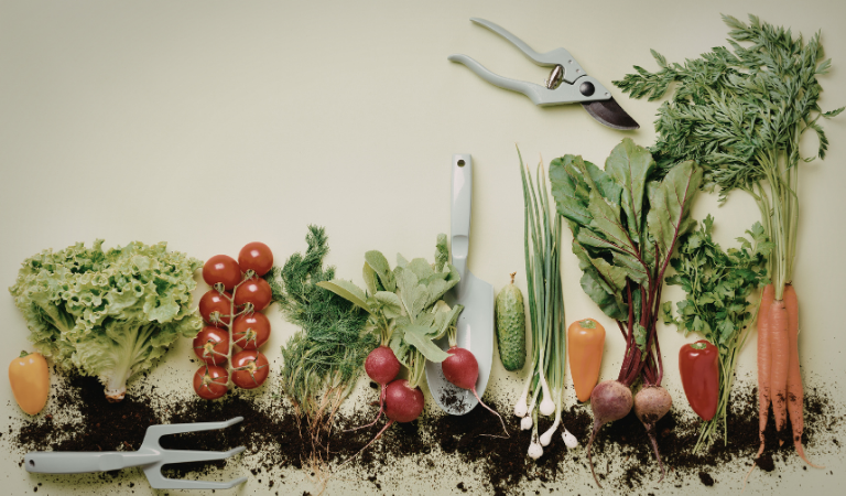 Tarladan Sofraya & Slow Food